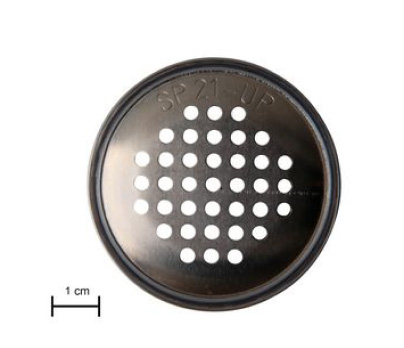 Capsule phonique